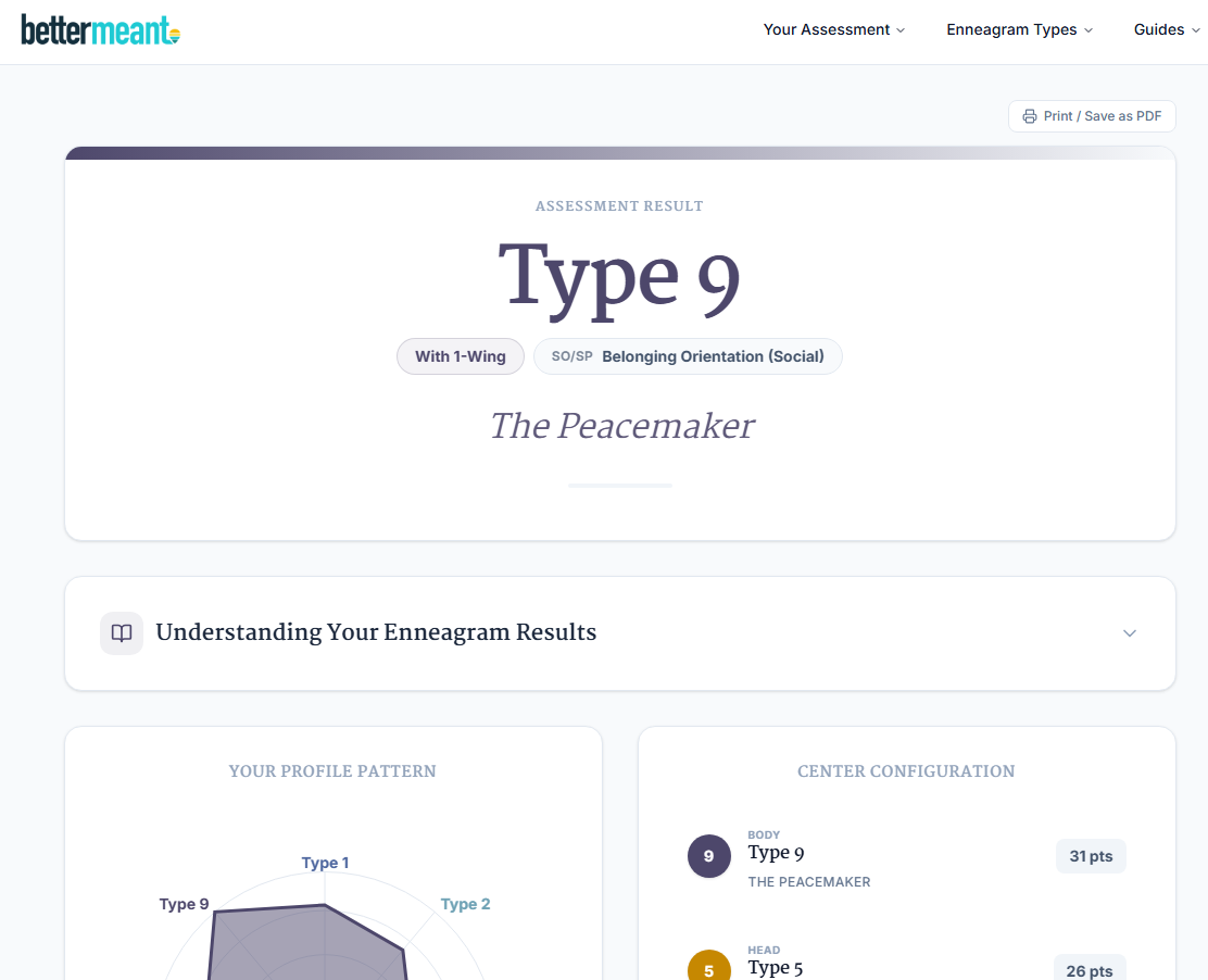Preview of the Bettermeant Enneagram assessment materials