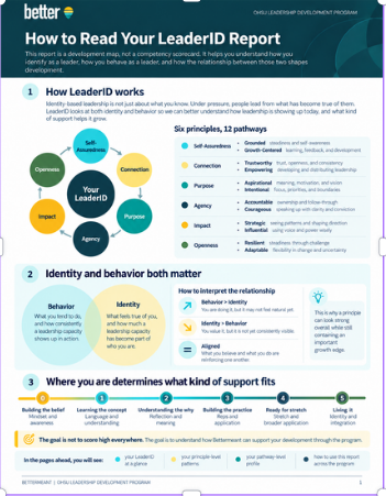 Illustrative LeaderID report preview